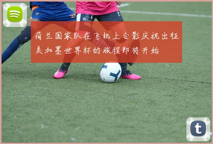 荷兰国家队在飞机上合影庆祝出征美加墨世界杯的旅程即将开始