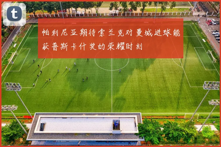 帕利尼亚期待索兰克对曼城进球能获普斯卡什奖的荣耀时刻