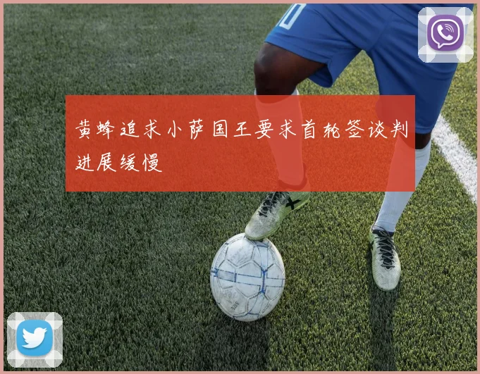 黄蜂追求小萨国王要求首轮签谈判进展缓慢